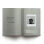 leerezeilen-inhalt-5